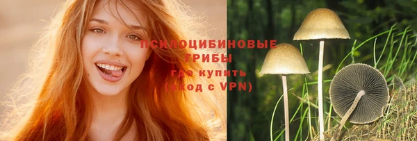 дмт Балабаново