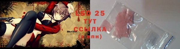 эйфоретик Баксан