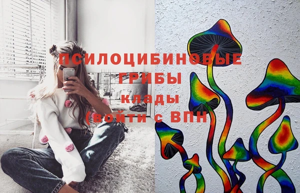 эйфоретик Баксан