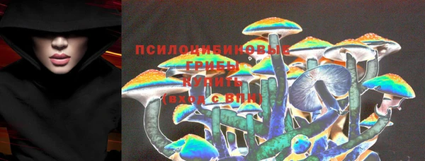 spice Балахна